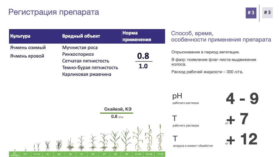 Слайд #10 Фунгицид Скайвэй - особенности применения