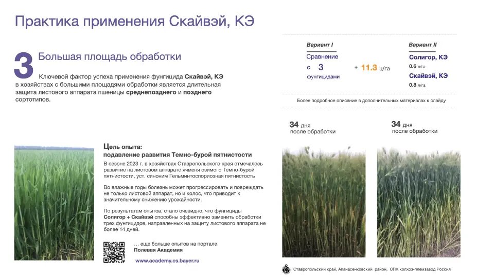 Слайд #23 Фунгицид Скайвэй - особенности применения