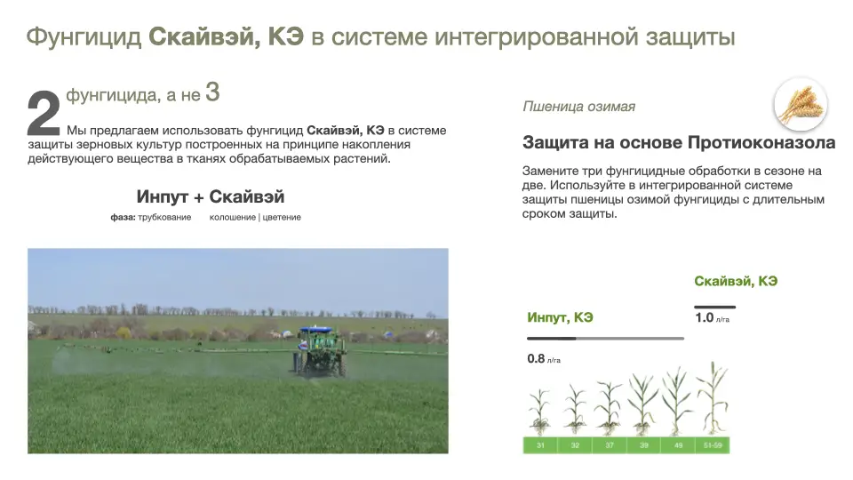 Слайд #20 Фунгицид Скайвэй - особенности применения