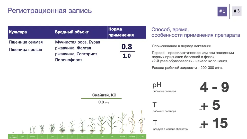 Слайд #6 Фунгицид Скайвэй - особенности применения