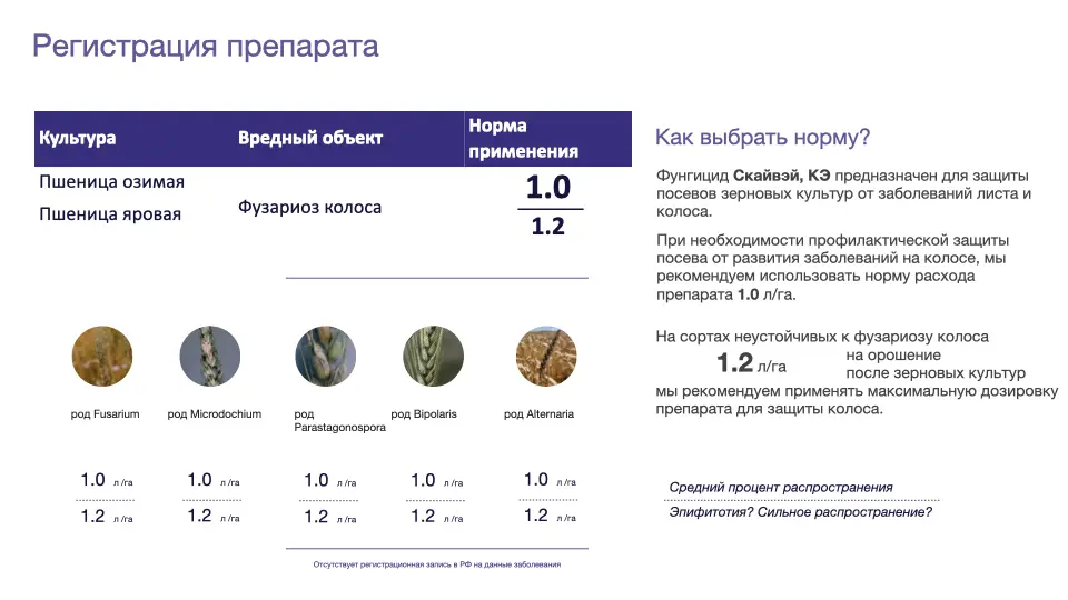 Слайд #9 Фунгицид Скайвэй - особенности применения