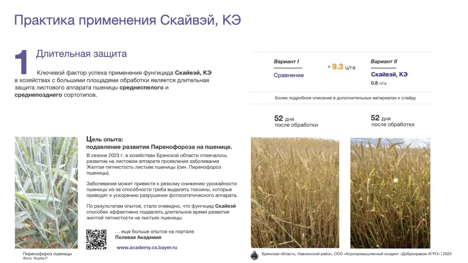 Слайд #19 Фунгицид Скайвэй - особенности применения