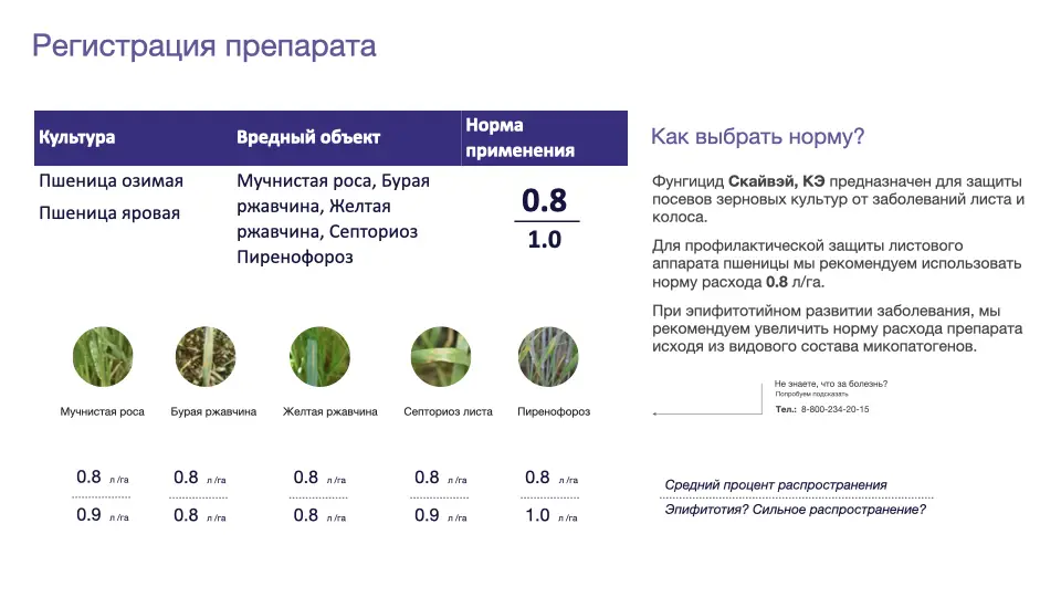 Слайд #7 Фунгицид Скайвэй - особенности применения