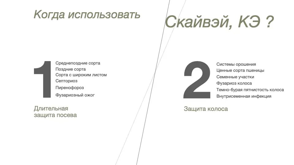 Слайд #27 Фунгицид Скайвэй - особенности применения