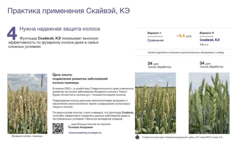 Слайд #25 Фунгицид Скайвэй - особенности применения