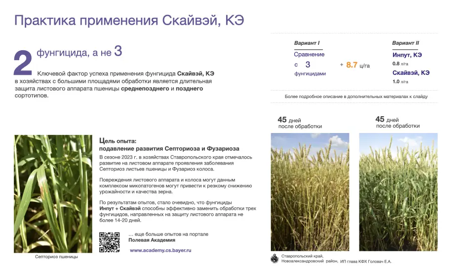 Слайд #21 Фунгицид Скайвэй - особенности применения