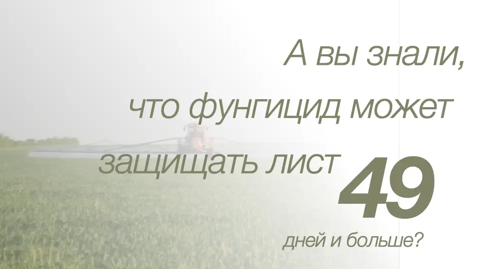 Слайд #14 Фунгицид Скайвэй - особенности применения
