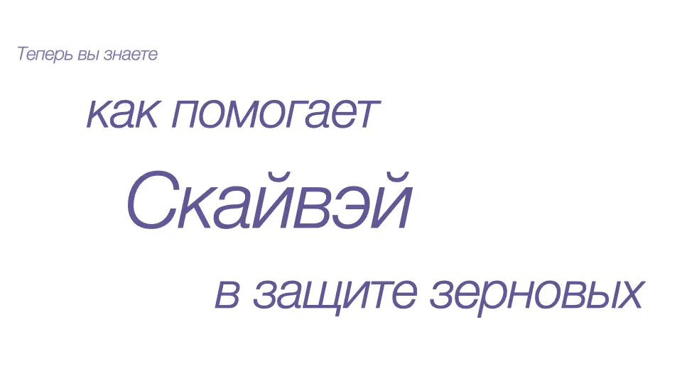 Слайд #28 Фунгицид Скайвэй - особенности применения