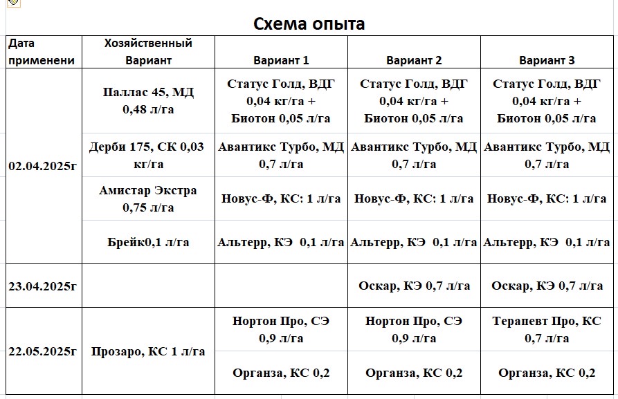 Описание фото