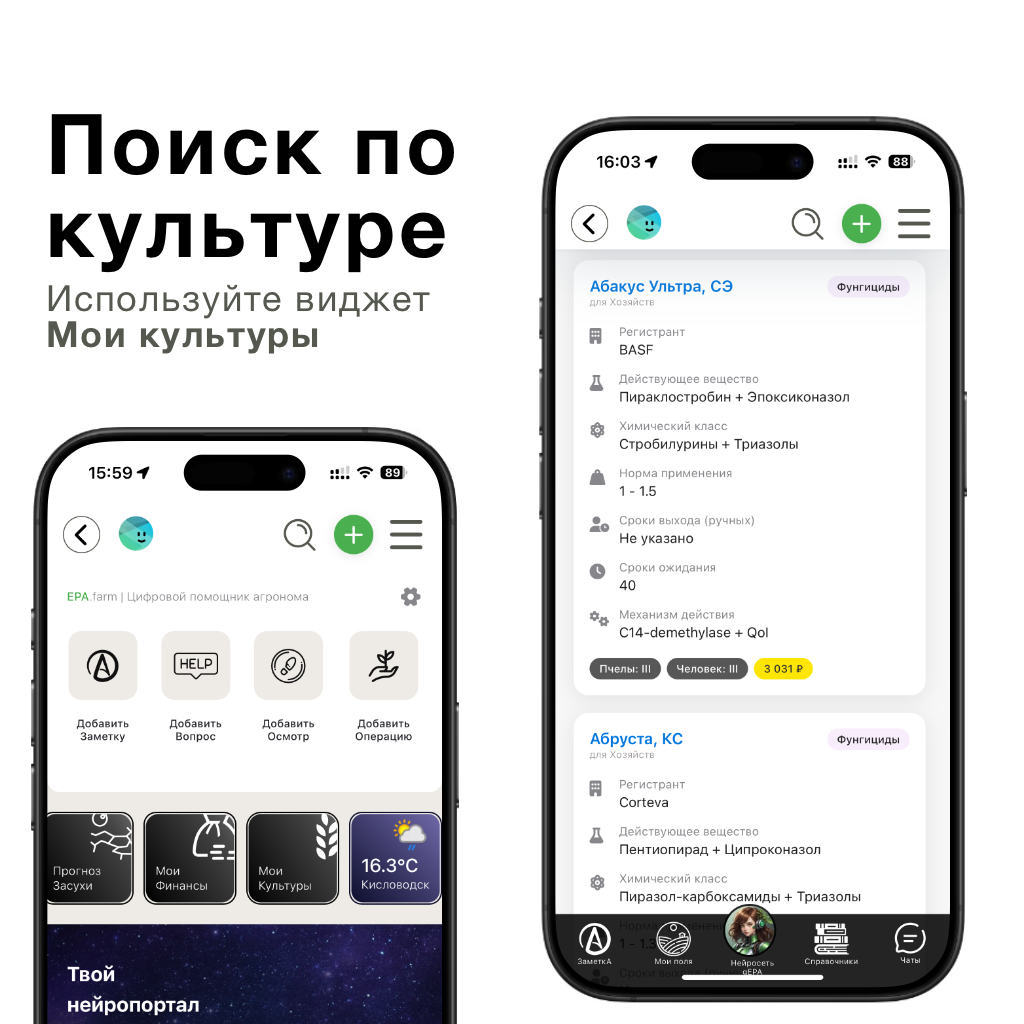 Поиск по культуре