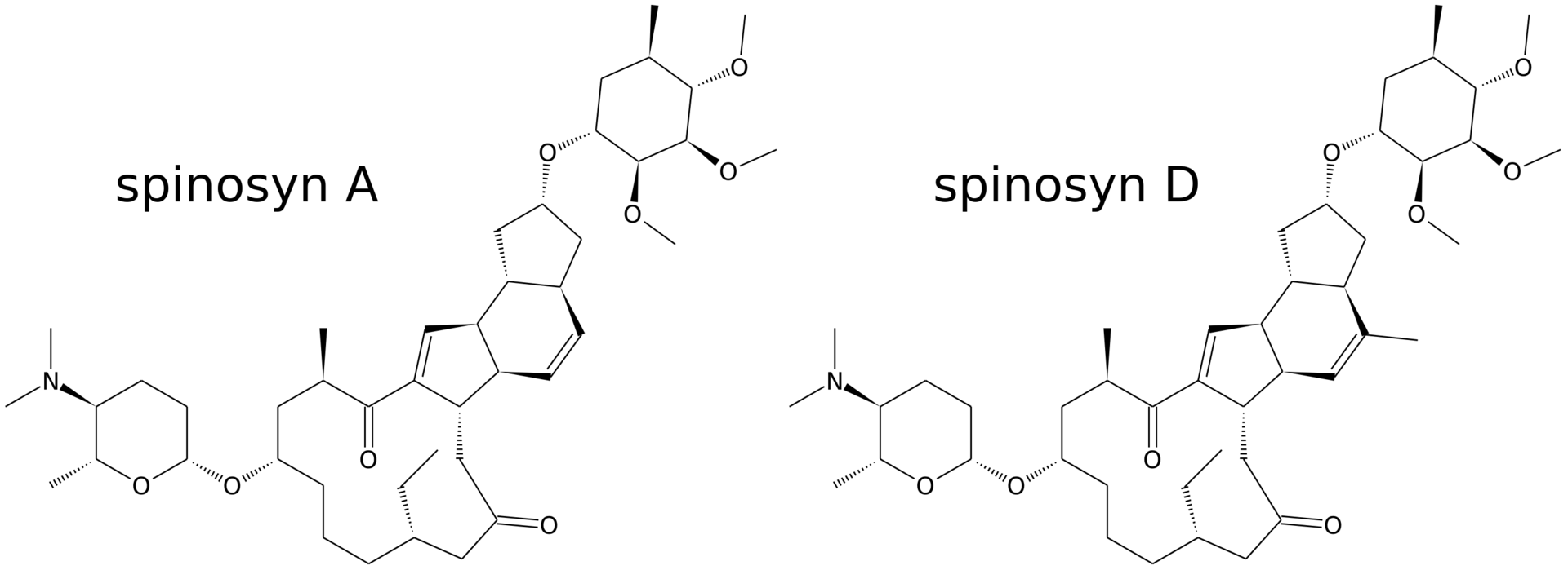 Спинозины