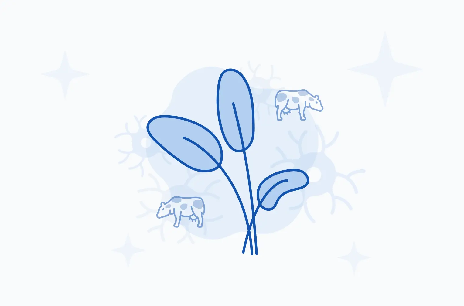 Формула молекулы Ауксины| Formula of active ingredient Auxins 