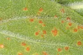 1803