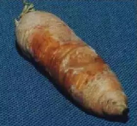 1002