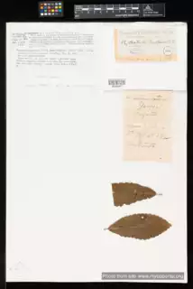 693