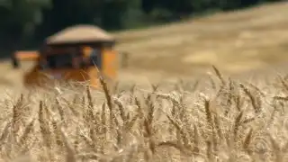 EcoPlant