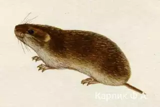 178