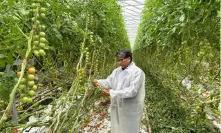 EcoPlant