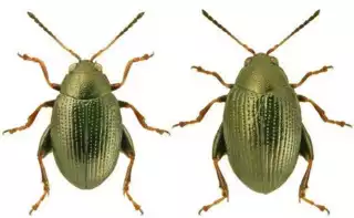 2192