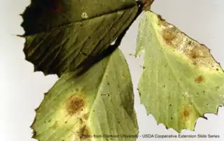 978
