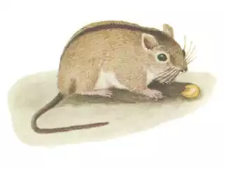 171