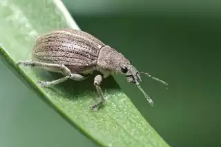 3490