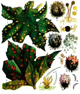 1794
