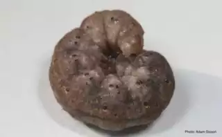 1020