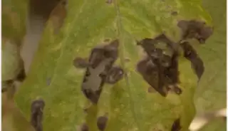 3790
