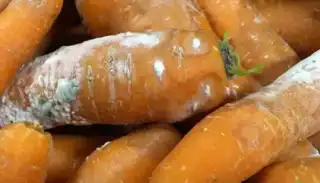 1009