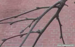 3603
