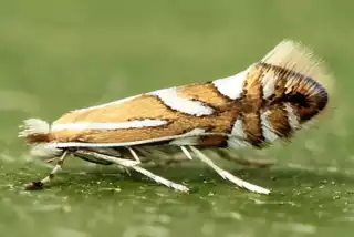 3480