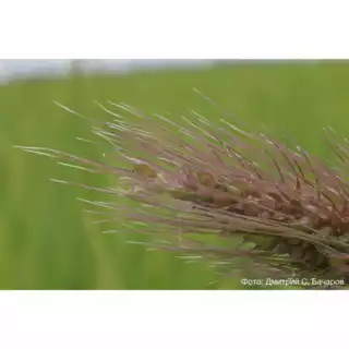512