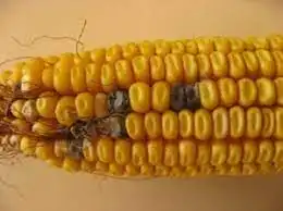 3848