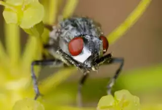 2159