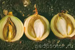 1208