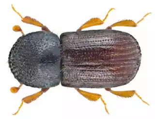 2102