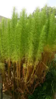 805