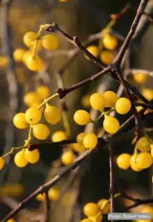 2101