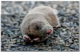 3473