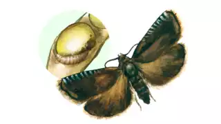 210