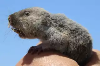 3449