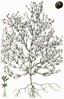 580
