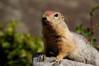 167