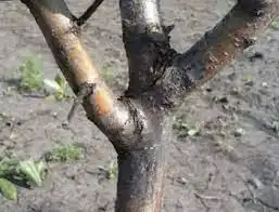 934