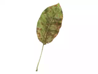 1142