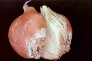 517