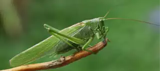 3494