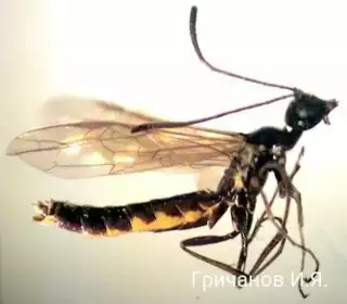 197