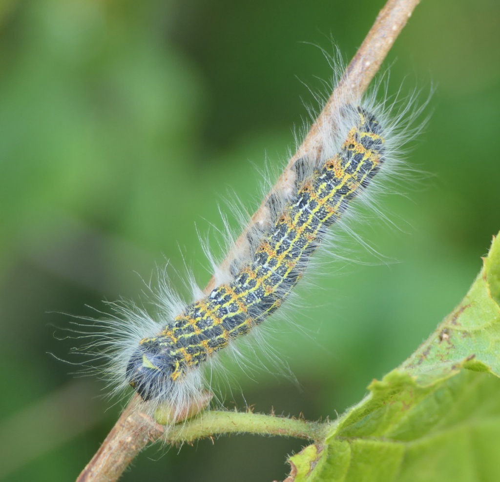 David NichollsMartinshaw Wood21 September 2019
